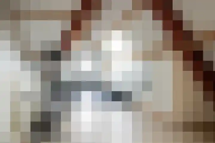 Kramsvogel 33 Eijsden thumbnail 27