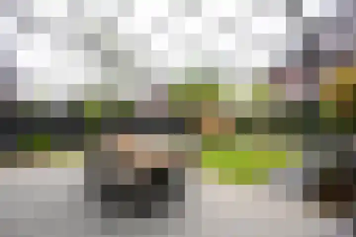 Kramsvogel 33 Eijsden thumbnail 29