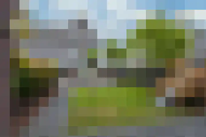 Kramsvogel 33 Eijsden thumbnail 32