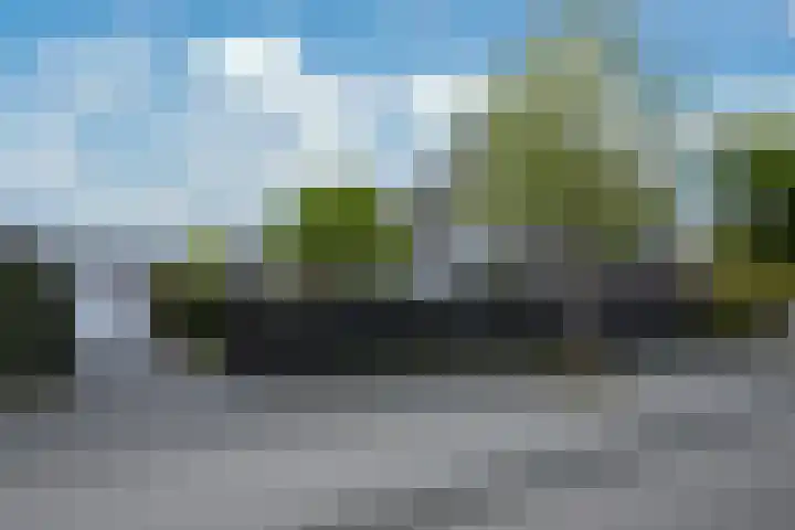 Kramsvogel 33 Eijsden thumbnail 35