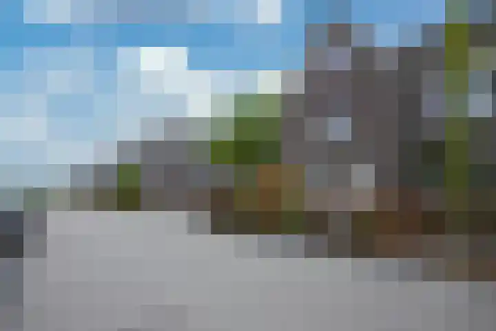 Kramsvogel 33 Eijsden thumbnail 38