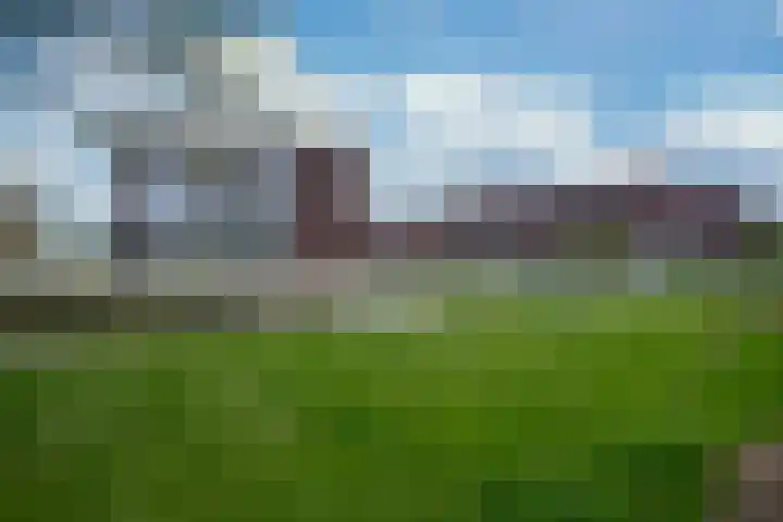 Kramsvogel 33 Eijsden thumbnail 39