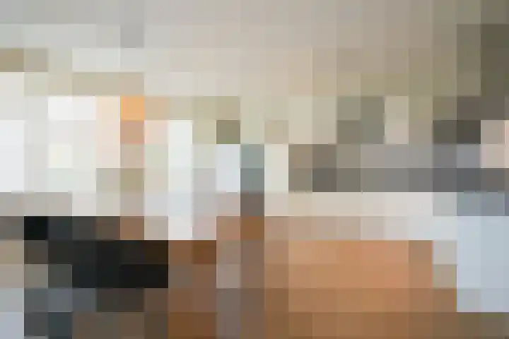 Kramsvogel 33 Eijsden thumbnail 4