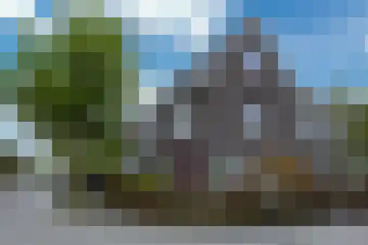 Kramsvogel 33 Eijsden thumbnail 44