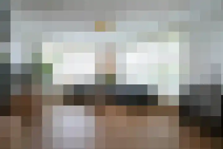 Kramsvogel 33 Eijsden thumbnail 7