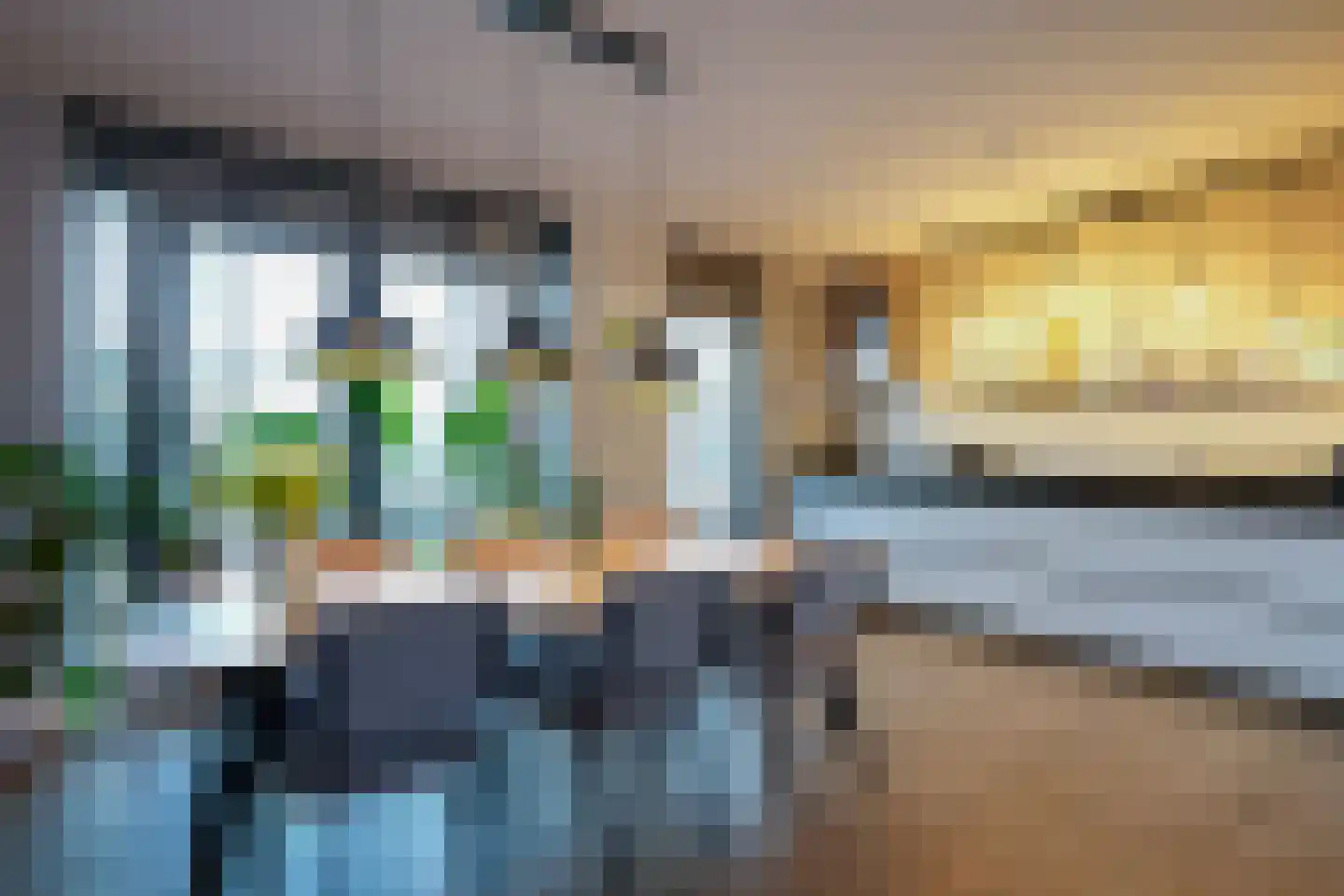 Kramsvogel 39 Eijsden thumbnail 12