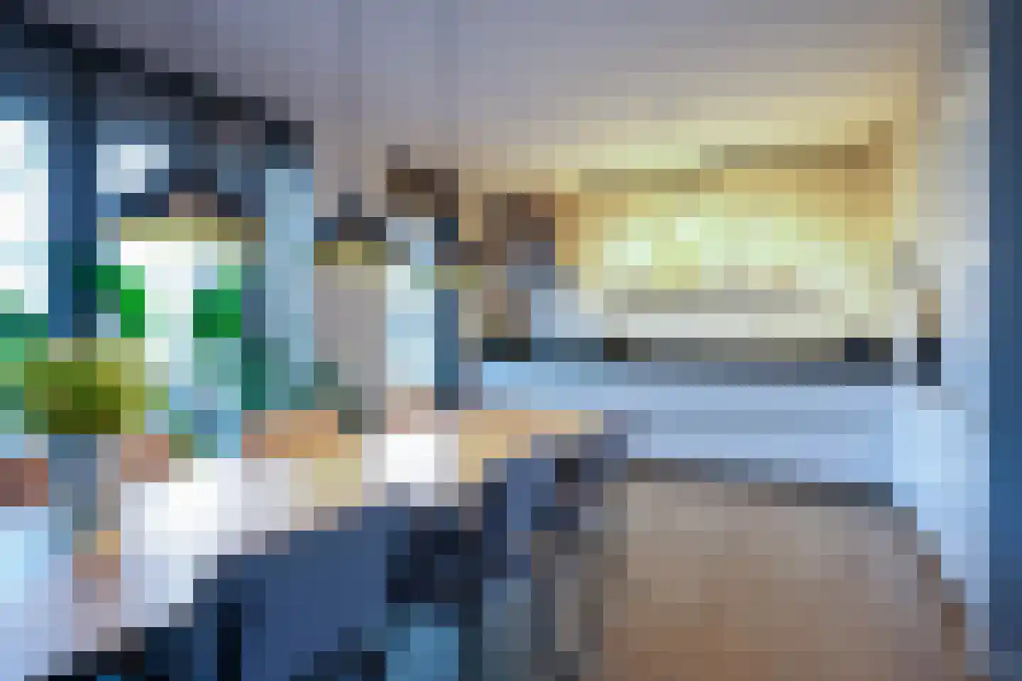 Kramsvogel 39 Eijsden thumbnail 13