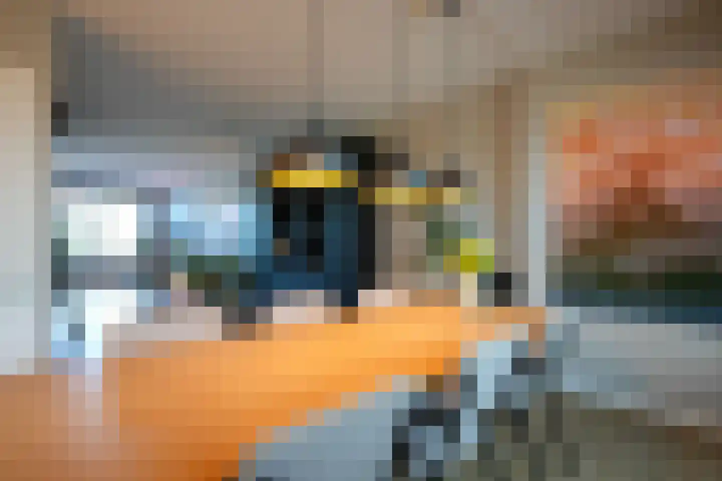 Kramsvogel 39 Eijsden thumbnail 15
