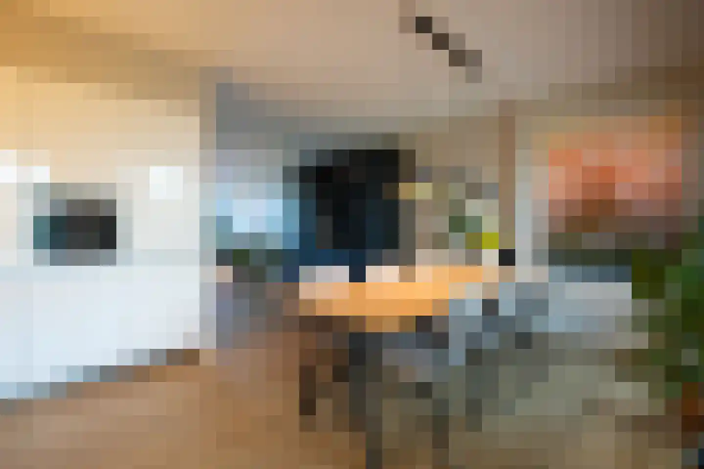 Kramsvogel 39 Eijsden thumbnail 16