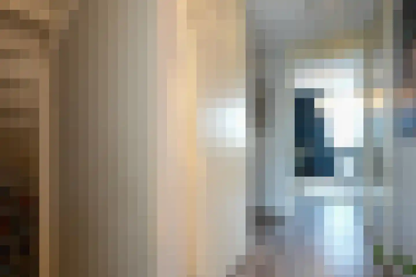 Kramsvogel 39 Eijsden thumbnail 18