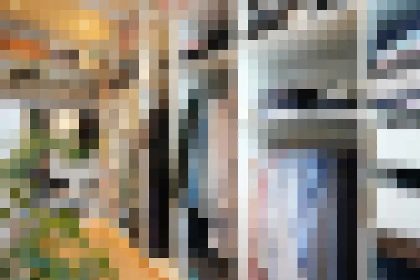Kramsvogel 39 Eijsden thumbnail 21