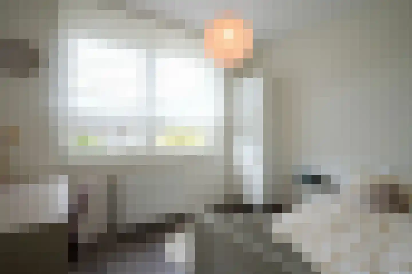 Kramsvogel 39 Eijsden thumbnail 23