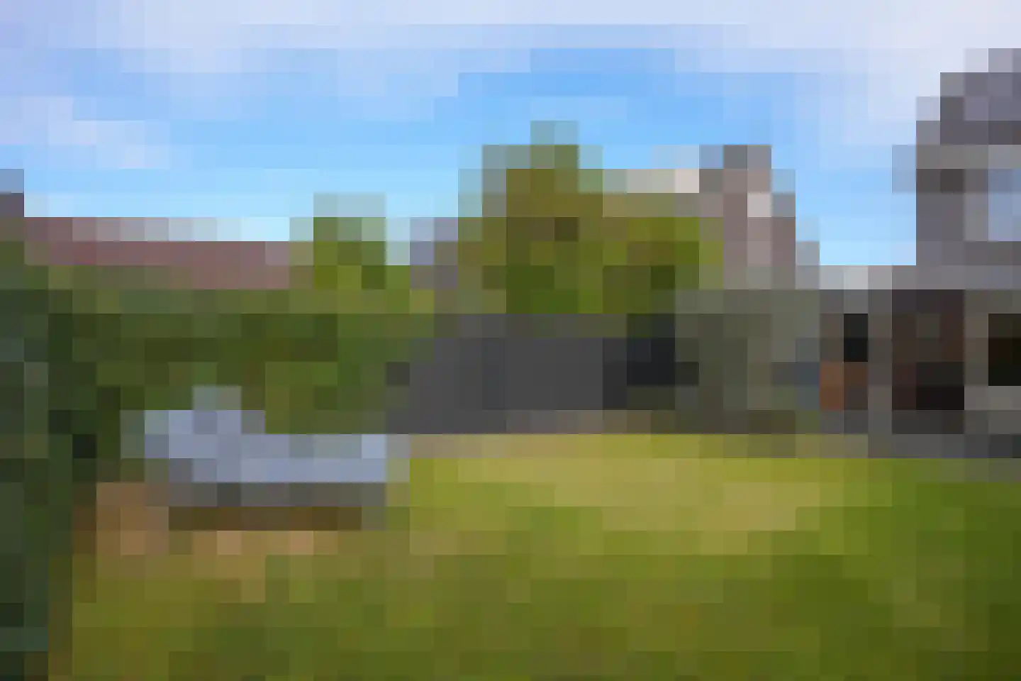 Kramsvogel 39 Eijsden thumbnail 31
