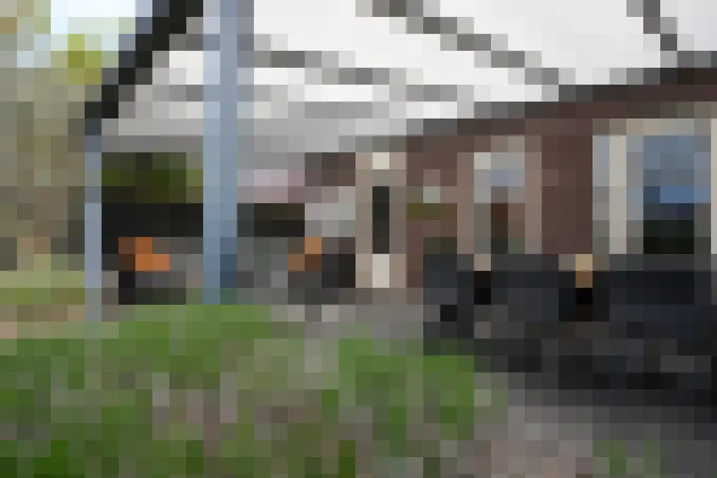 Kramsvogel 39 Eijsden thumbnail 34