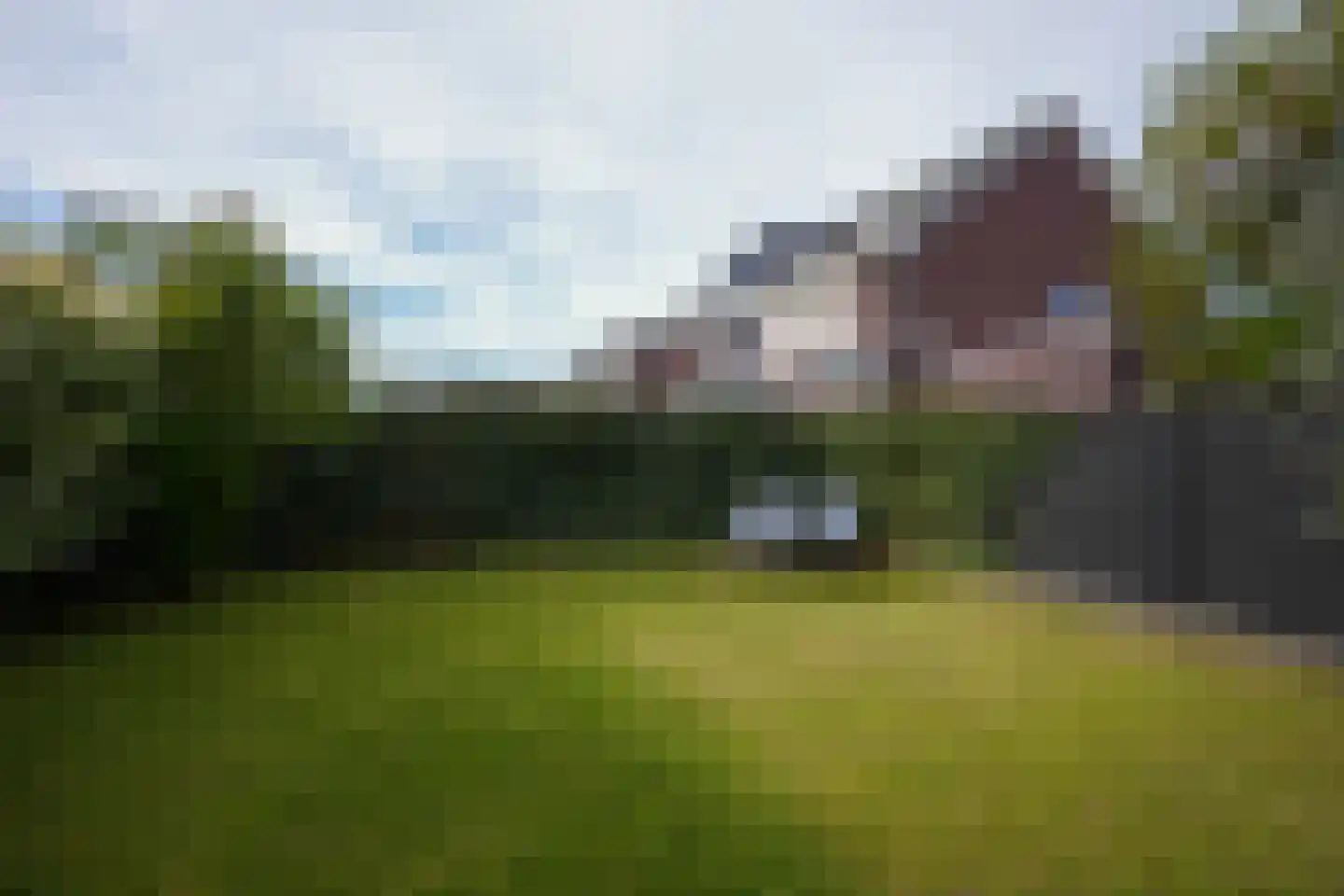 Kramsvogel 39 Eijsden thumbnail 35