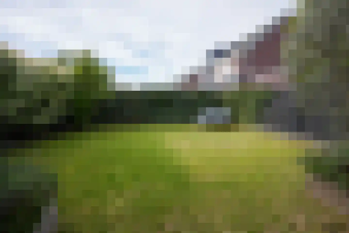 Kramsvogel 39 Eijsden thumbnail 36