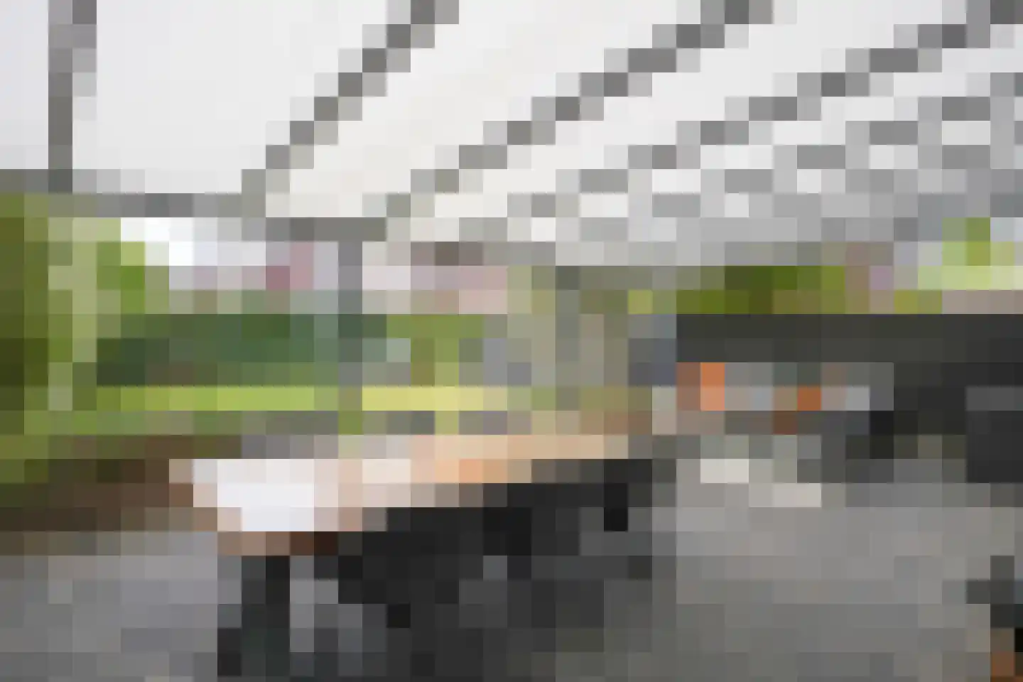 Kramsvogel 39 Eijsden thumbnail 37