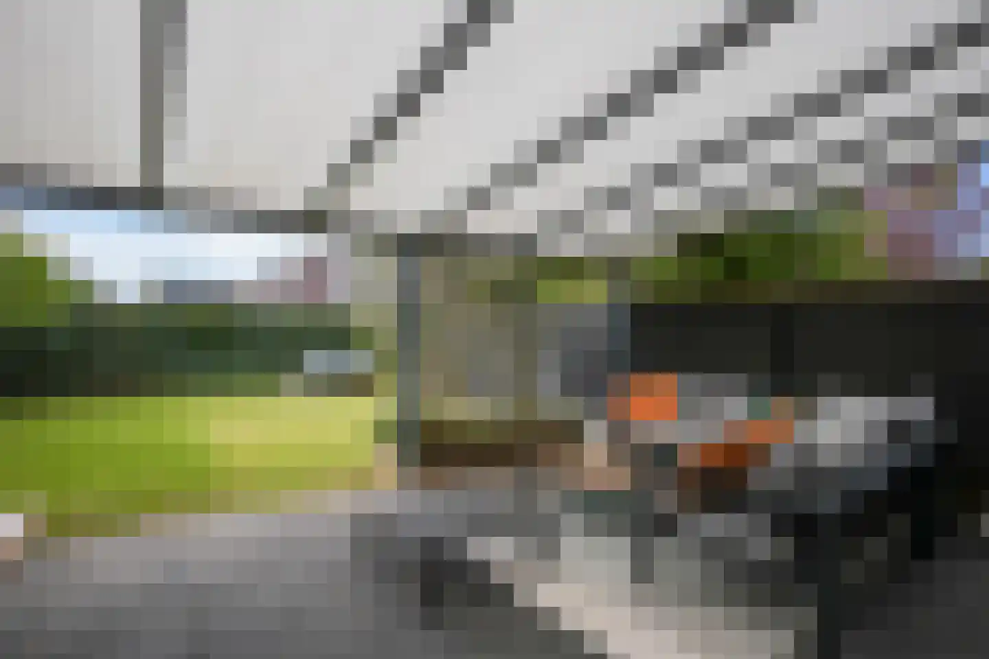 Kramsvogel 39 Eijsden thumbnail 38