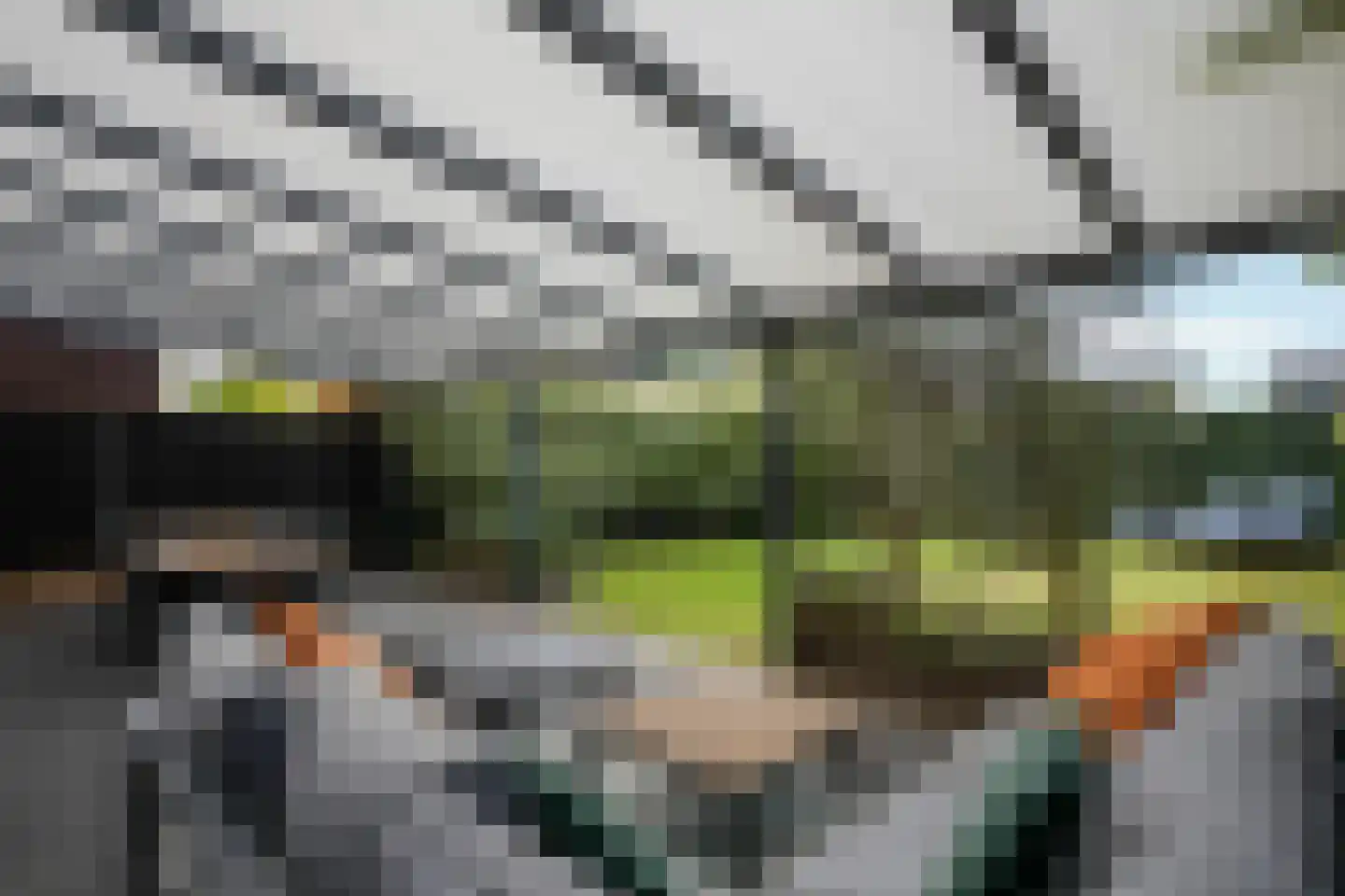 Kramsvogel 39 Eijsden thumbnail 39