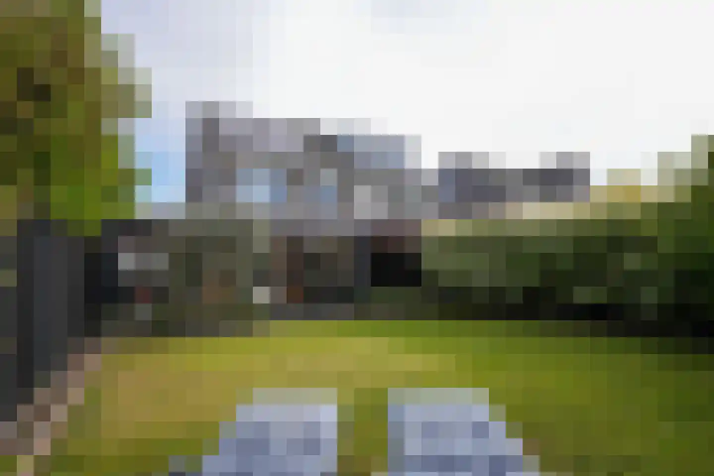 Kramsvogel 39 Eijsden thumbnail 4