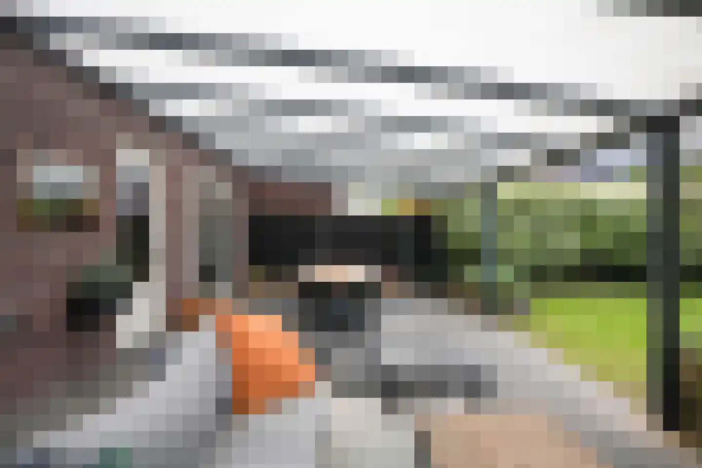 Kramsvogel 39 Eijsden thumbnail 40