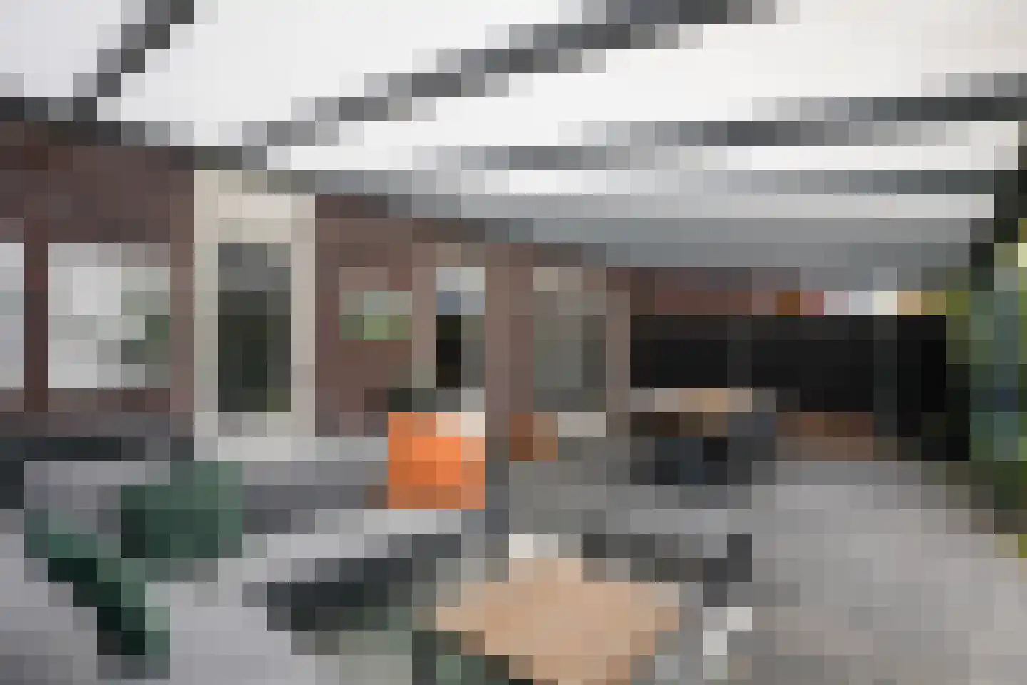Kramsvogel 39 Eijsden thumbnail 41