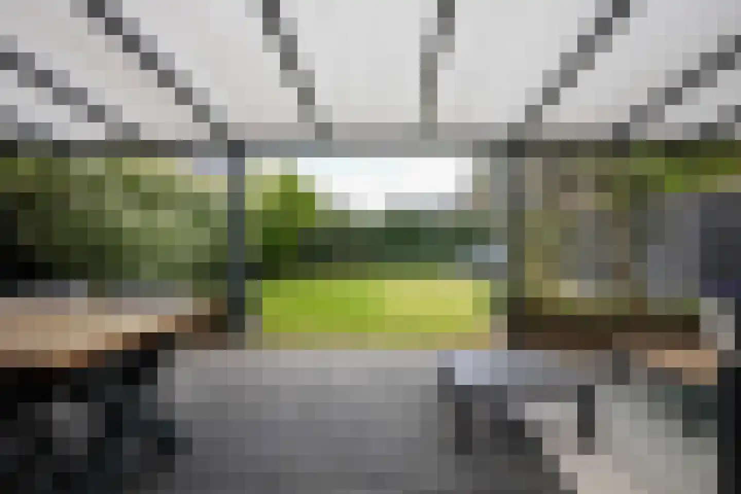 Kramsvogel 39 Eijsden thumbnail 42