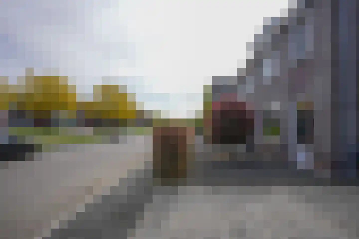 Kramsvogel 39 Eijsden thumbnail 45