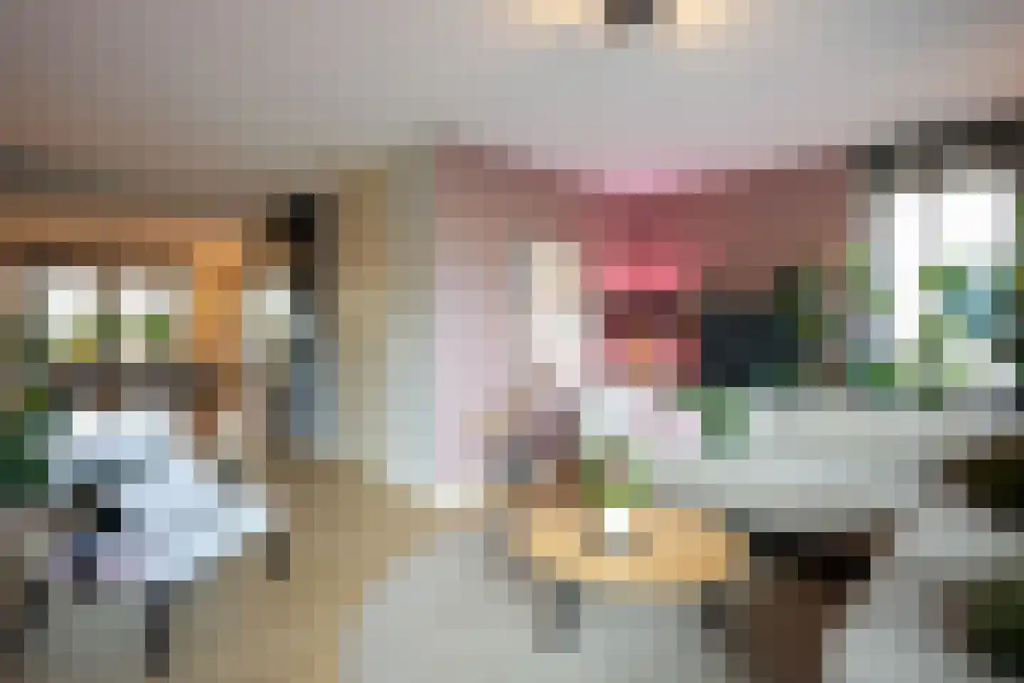 Kramsvogel 39 Eijsden thumbnail 9