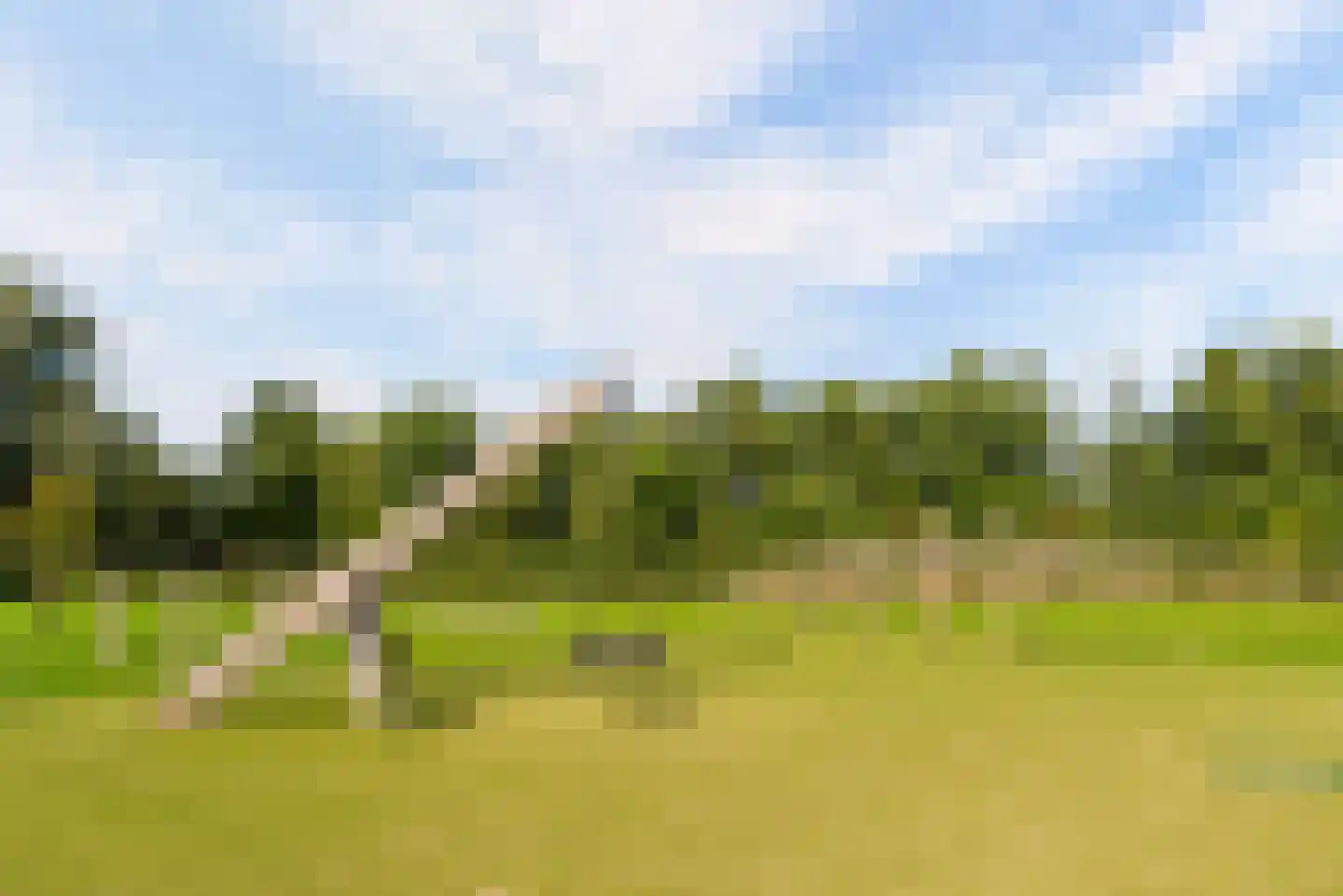Kramsvogellaan 14 Almere thumbnail 100