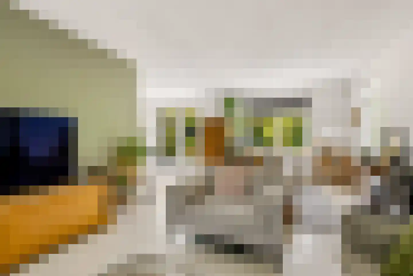 Kramsvogellaan 14 Almere thumbnail 22