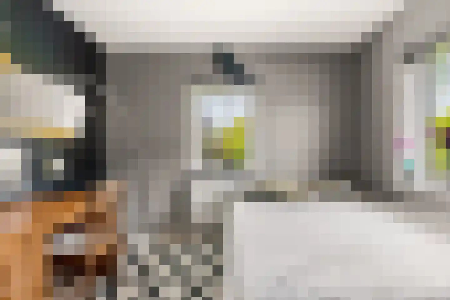 Kramsvogellaan 14 Almere thumbnail 47