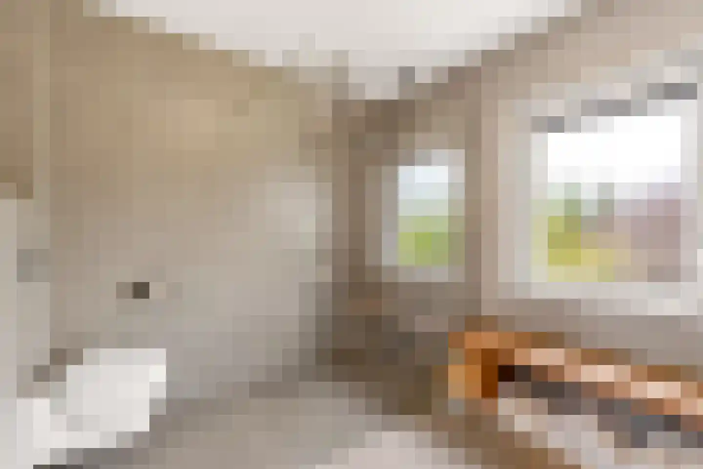 Kramsvogellaan 14 Almere thumbnail 53
