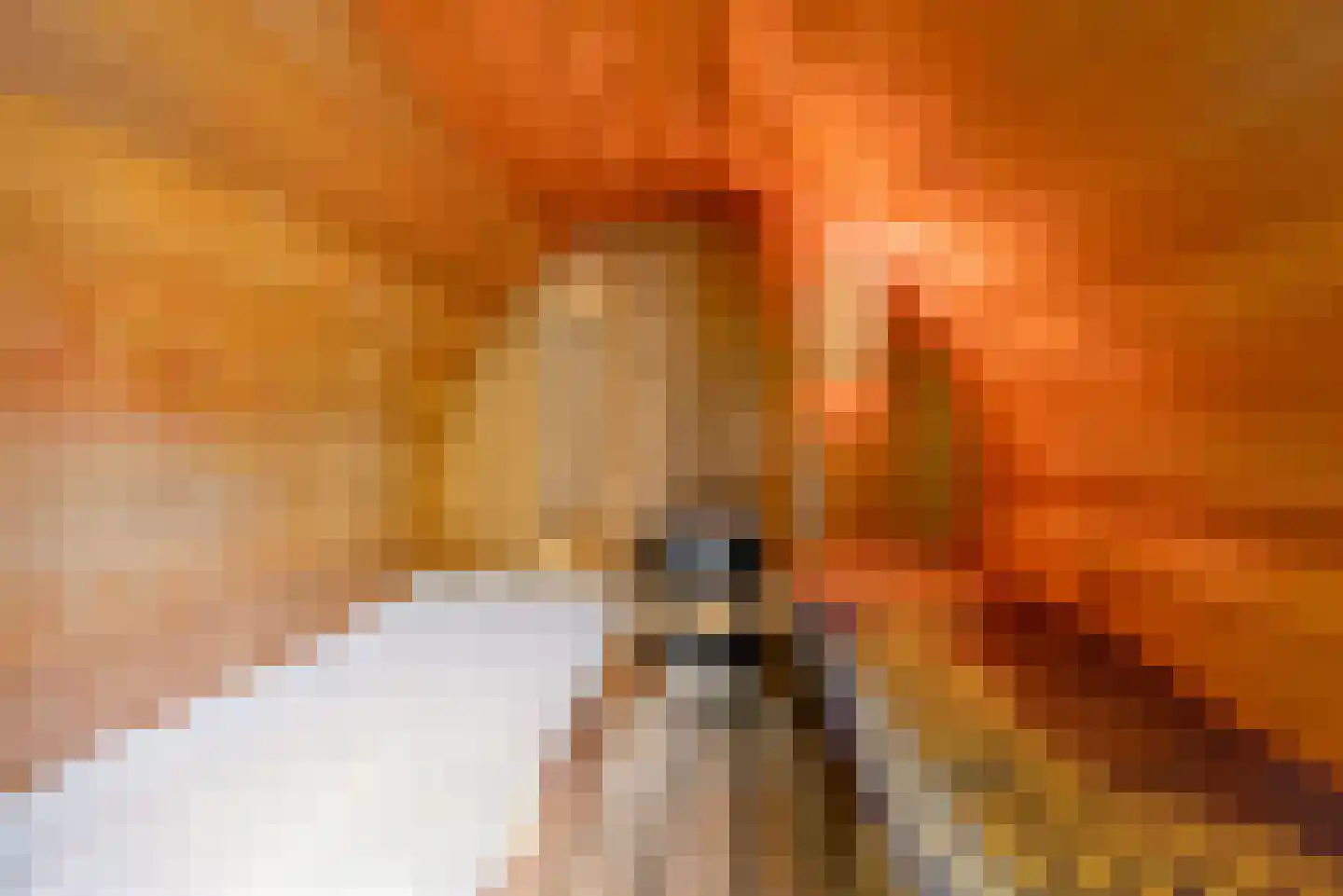 Kramsvogellaan 14 Almere thumbnail 6