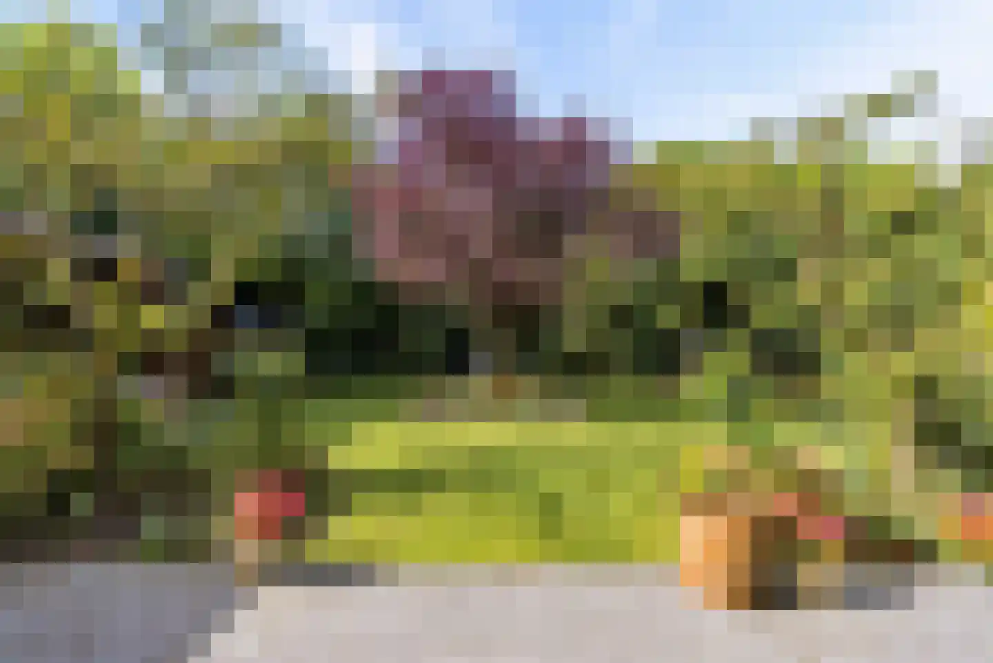 Kramsvogellaan 14 Almere thumbnail 64