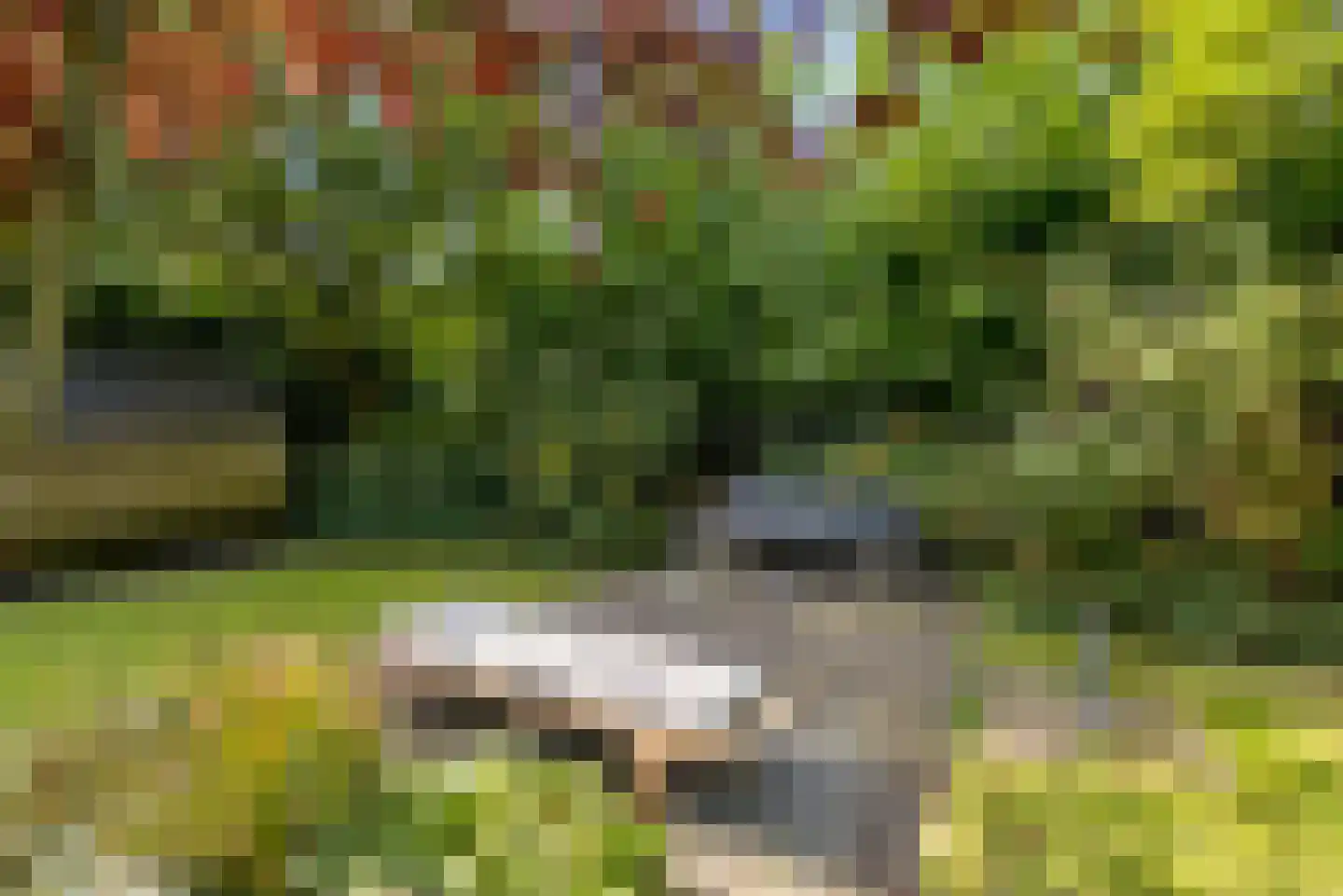 Kramsvogellaan 14 Almere thumbnail 68