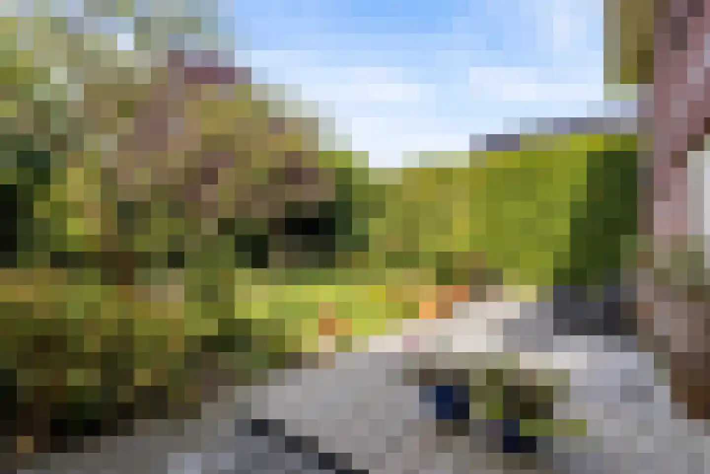 Kramsvogellaan 14 Almere thumbnail 69