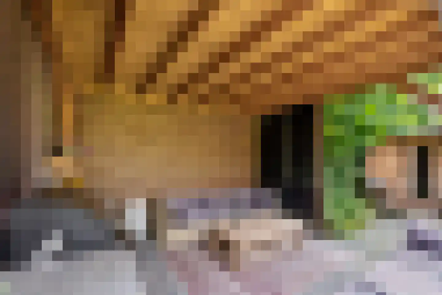 Kramsvogellaan 14 Almere thumbnail 7