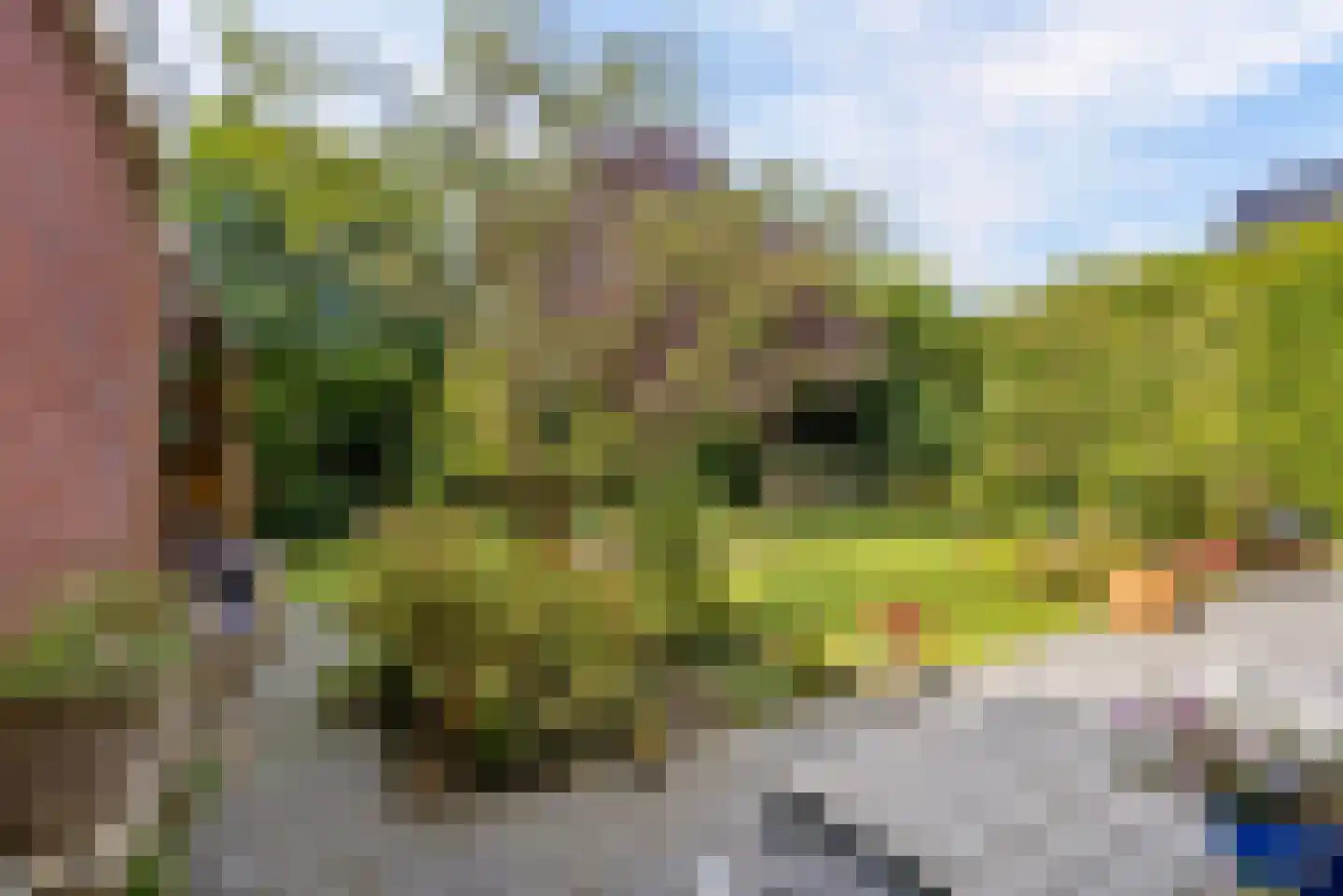 Kramsvogellaan 14 Almere thumbnail 71