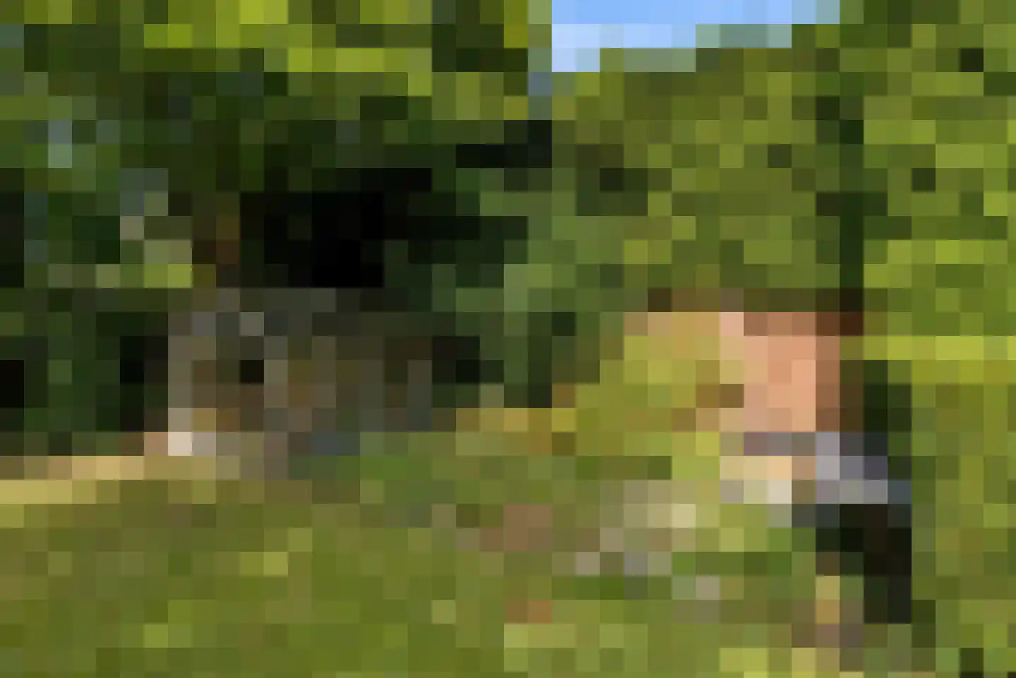 Kramsvogellaan 14 Almere thumbnail 76