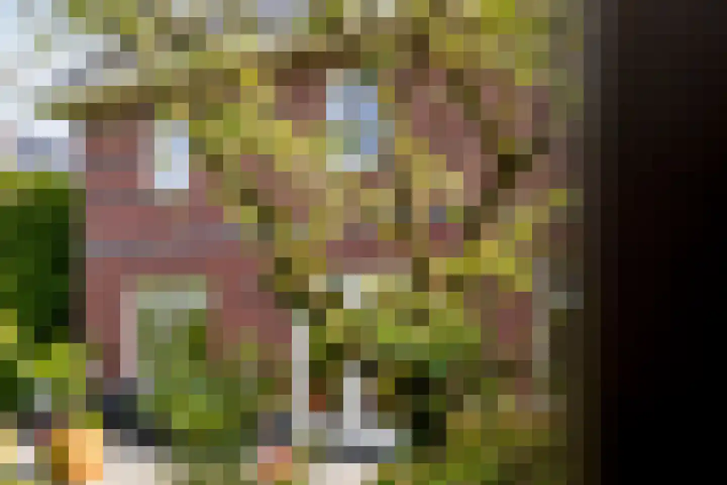 Kramsvogellaan 14 Almere thumbnail 77