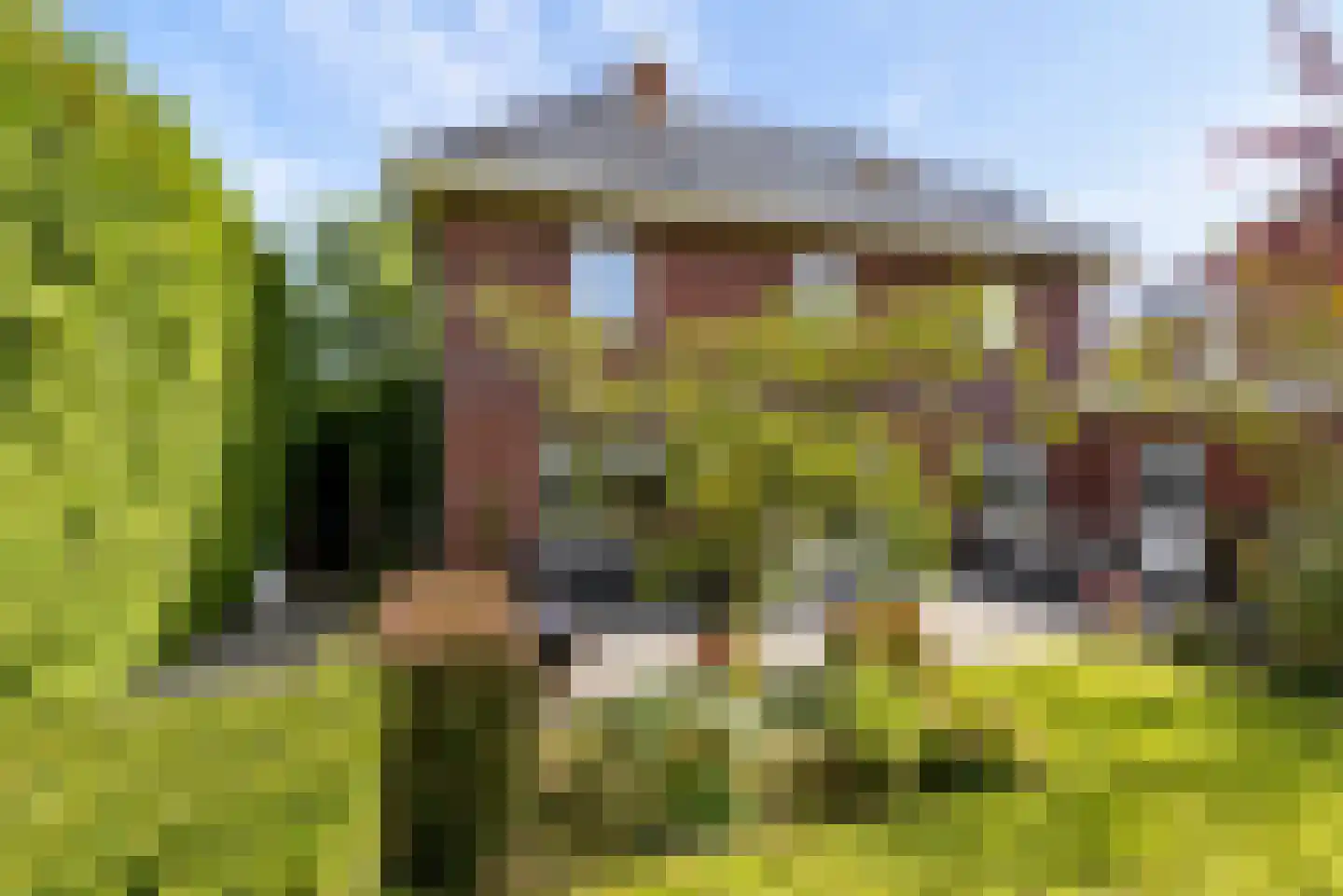 Kramsvogellaan 14 Almere thumbnail 79