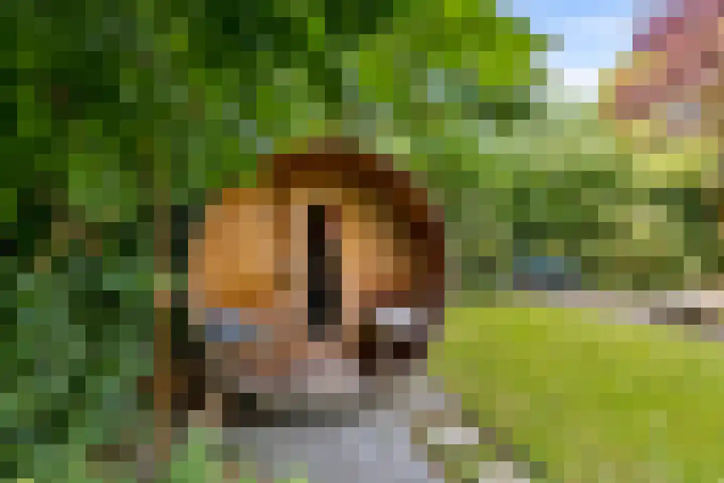 Kramsvogellaan 14 Almere thumbnail 80