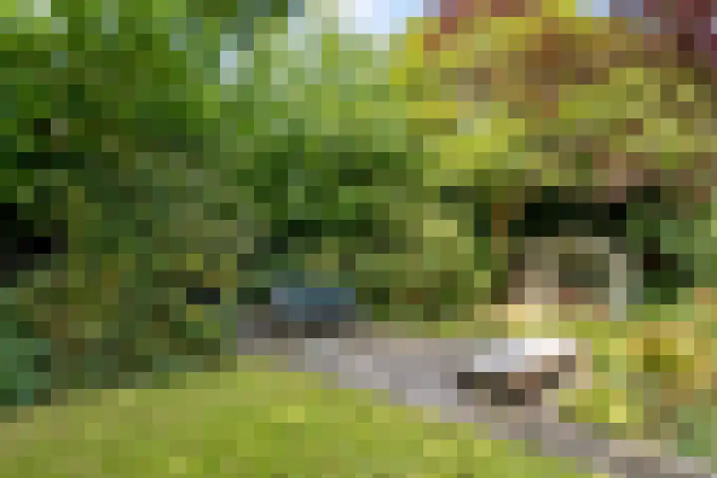 Kramsvogellaan 14 Almere thumbnail 84