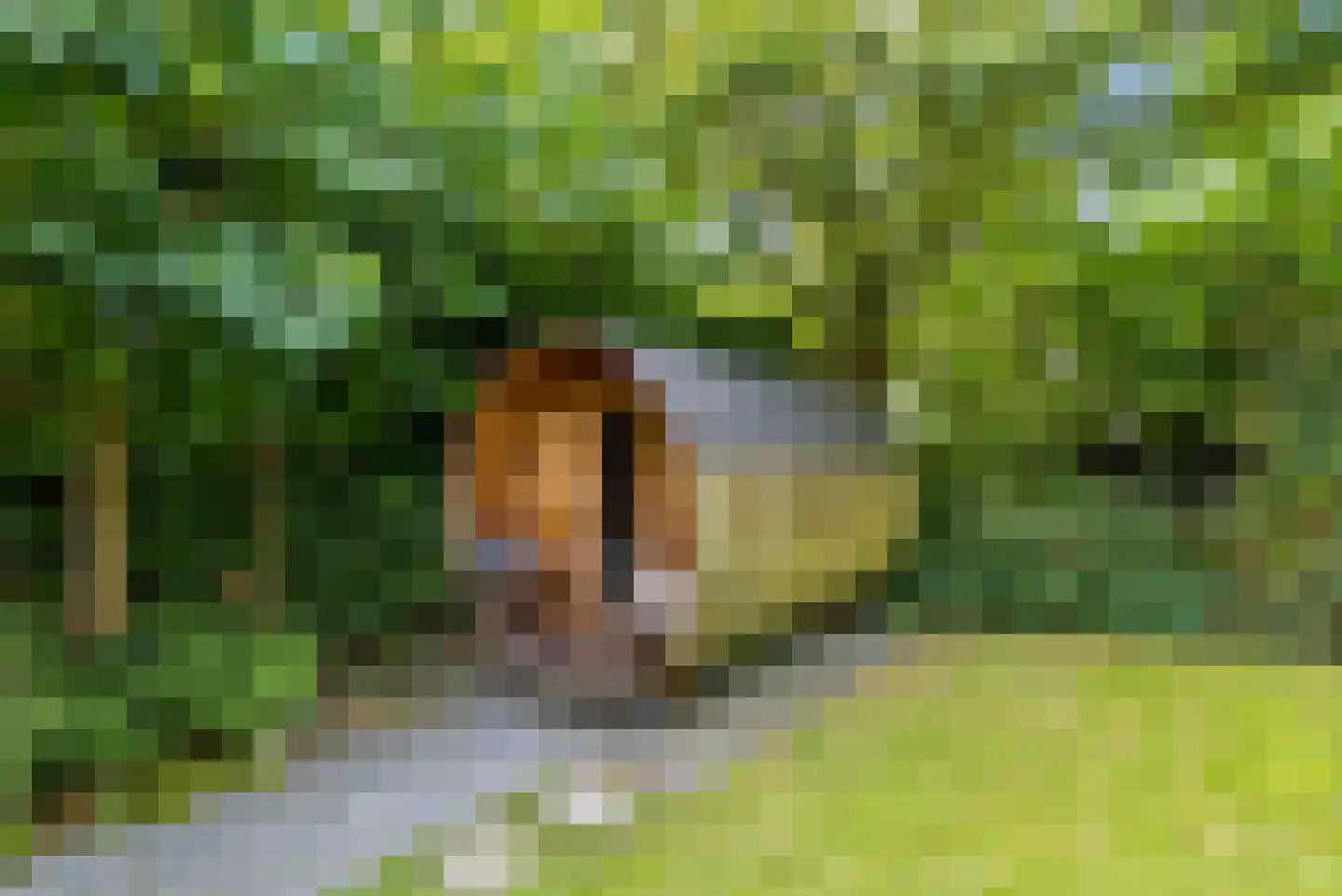 Kramsvogellaan 14 Almere thumbnail 9