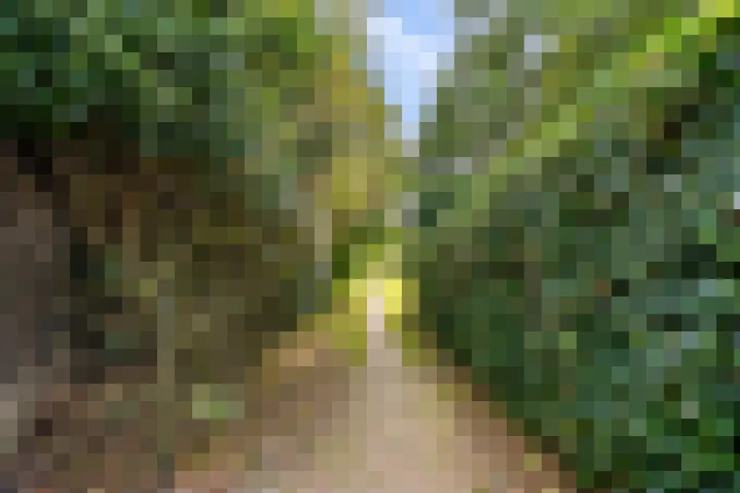 Kramsvogellaan 14 Almere thumbnail 93