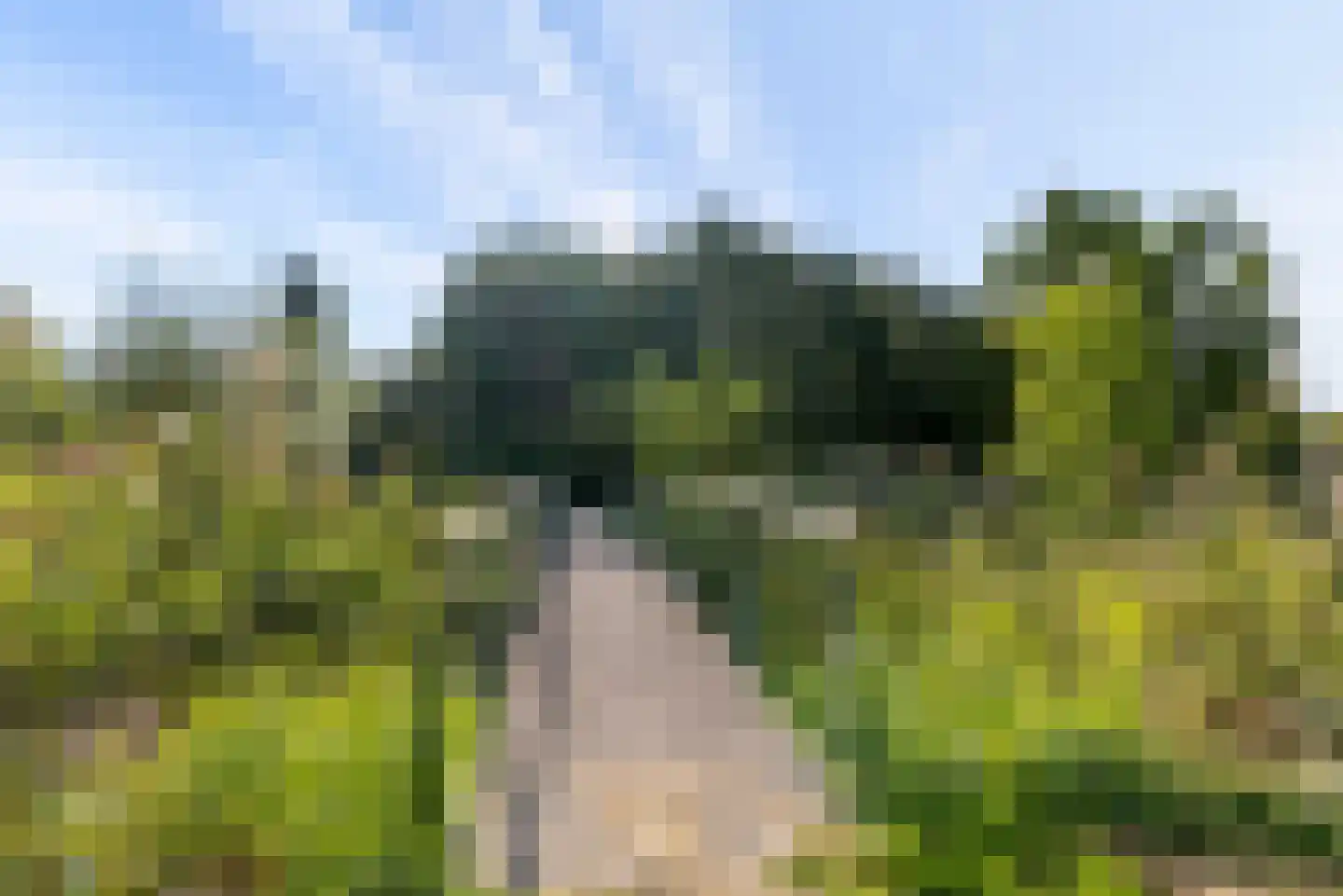 Kramsvogellaan 14 Almere thumbnail 96