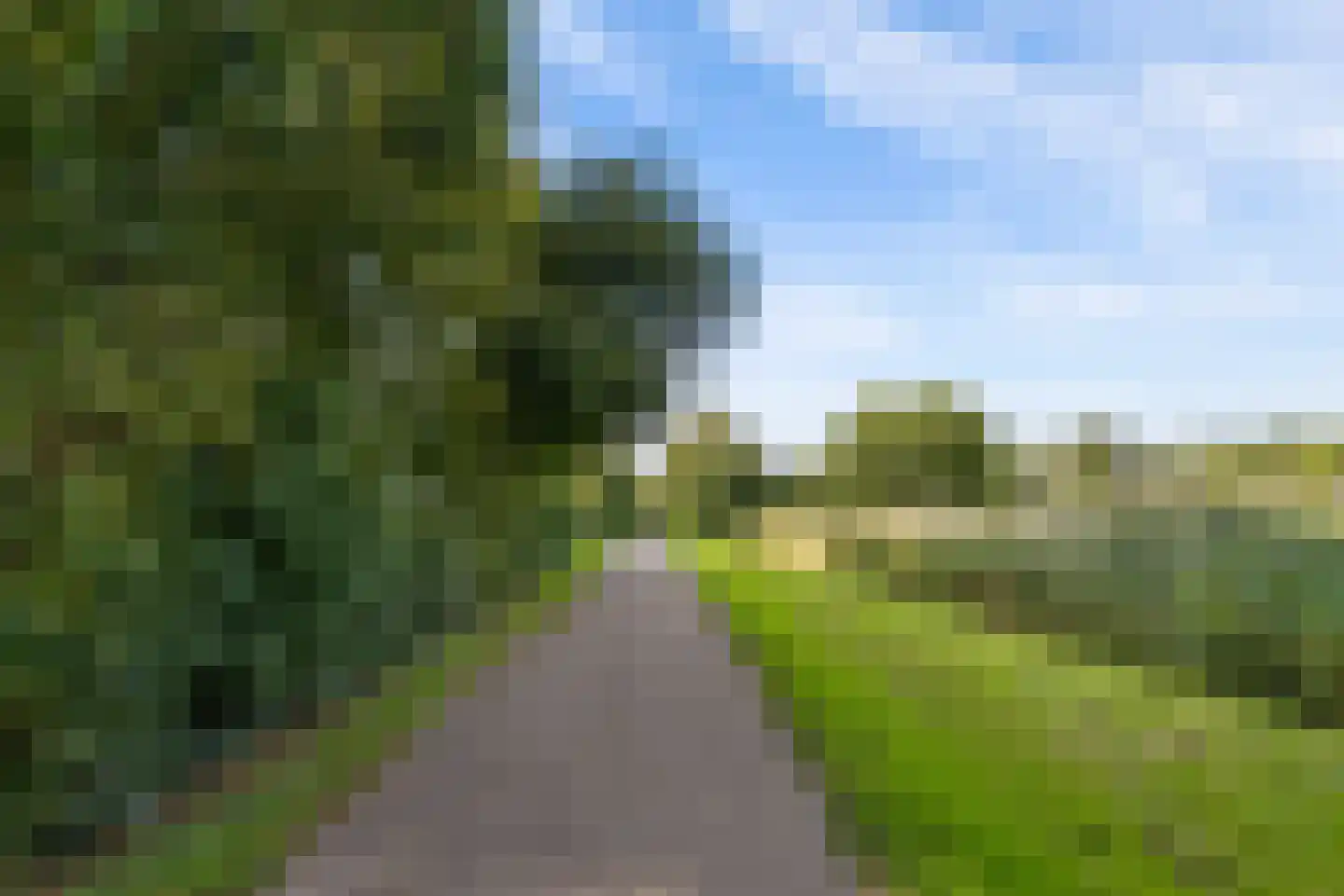 Kramsvogellaan 14 Almere thumbnail 98