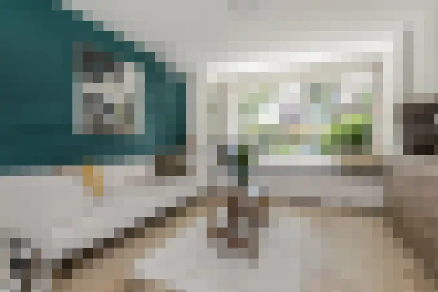 Kramsvogellaan 17 Den Haag thumbnail 11