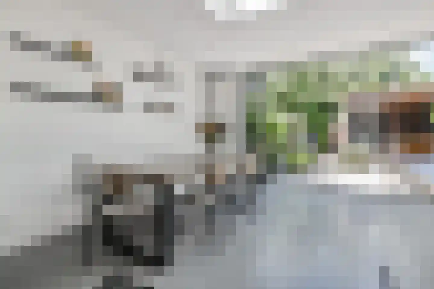 Kramsvogellaan 17 Den Haag thumbnail 16